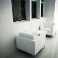 Beaqon Pte Ltd - Tai Seng | Products seen: [Camellia 1–Seater Sofa & Megan Coffee Table]